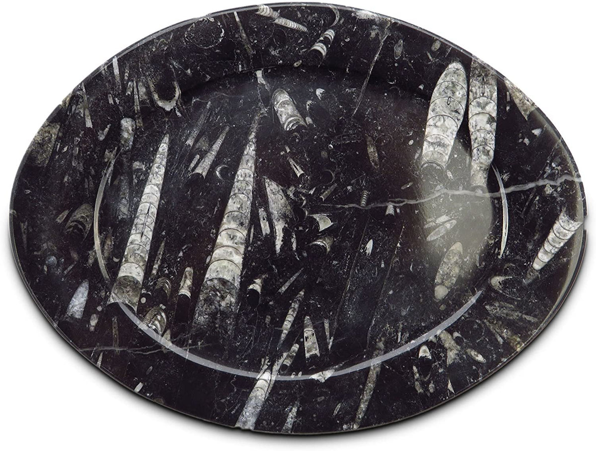 Round Black Fossil Plate