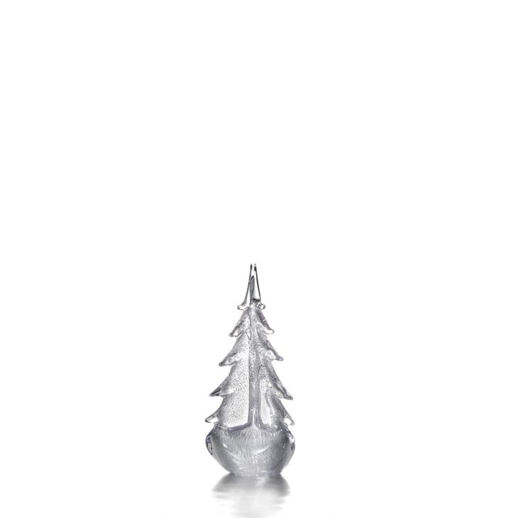 Silver Leaf Evergreen