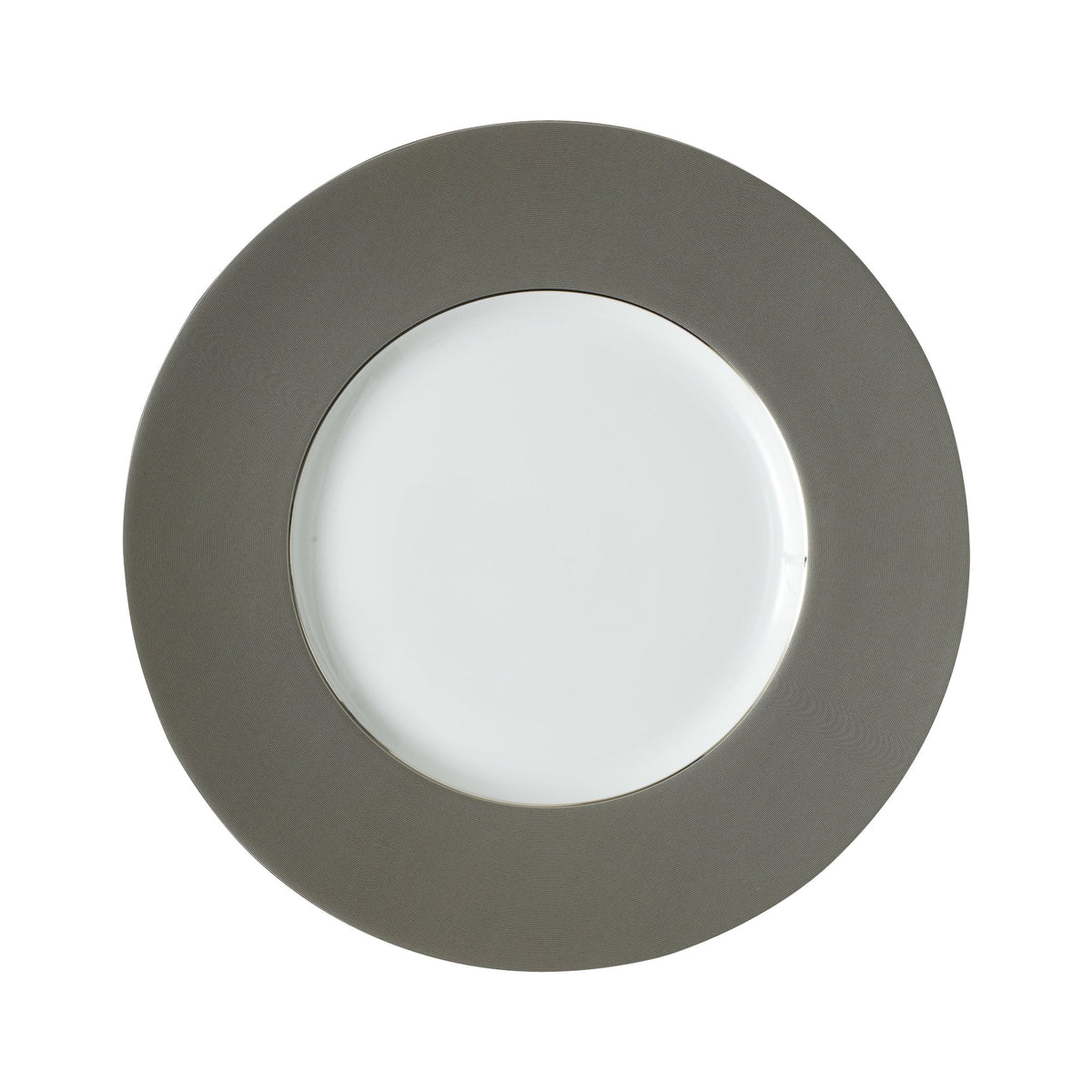 Metallic Dinner Plate