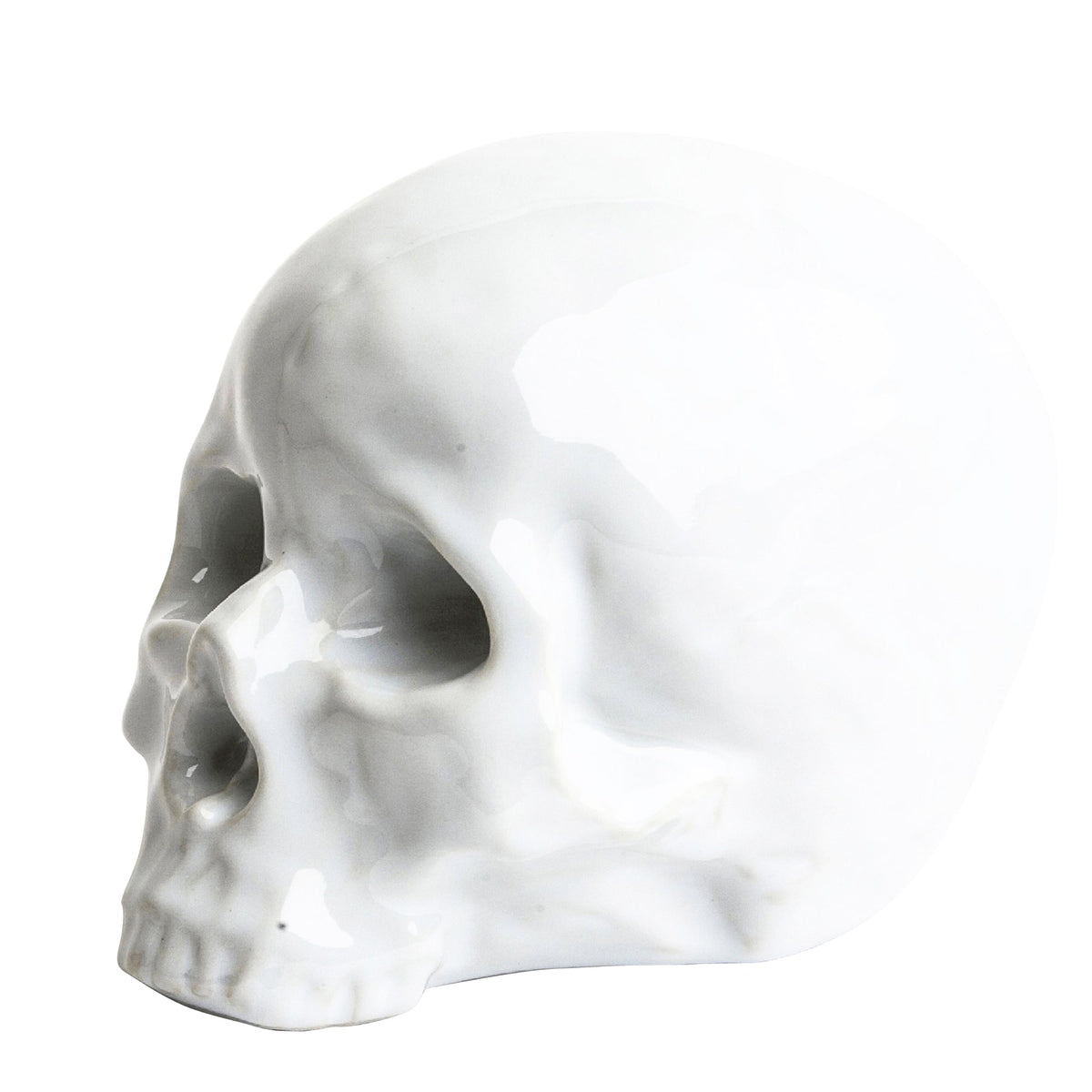 Memorabilia Porcelain Skull