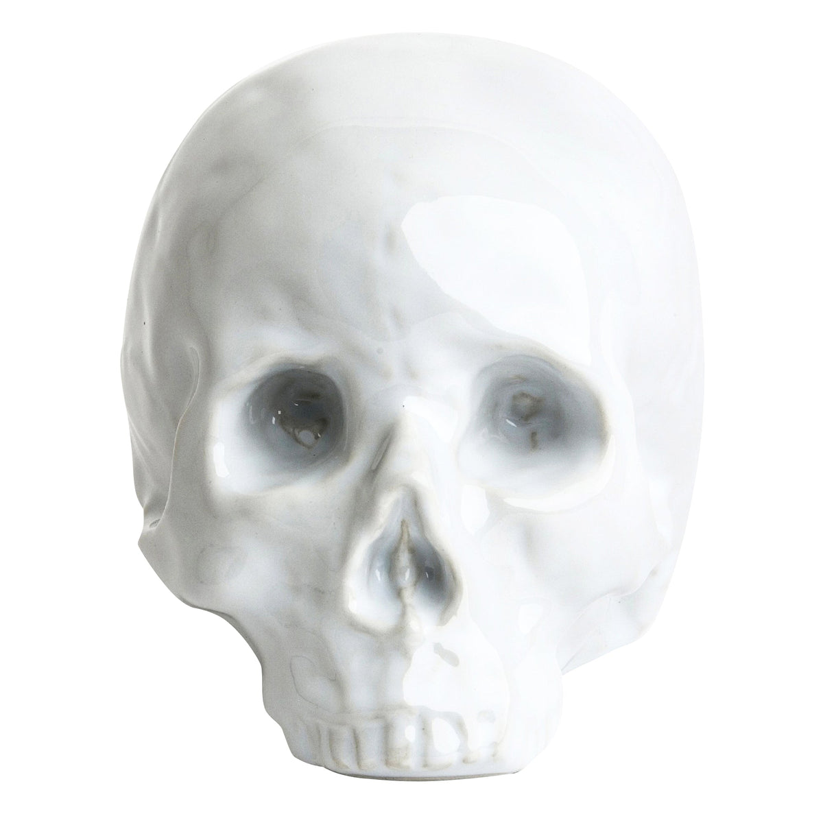 Memorabilia Porcelain Skull