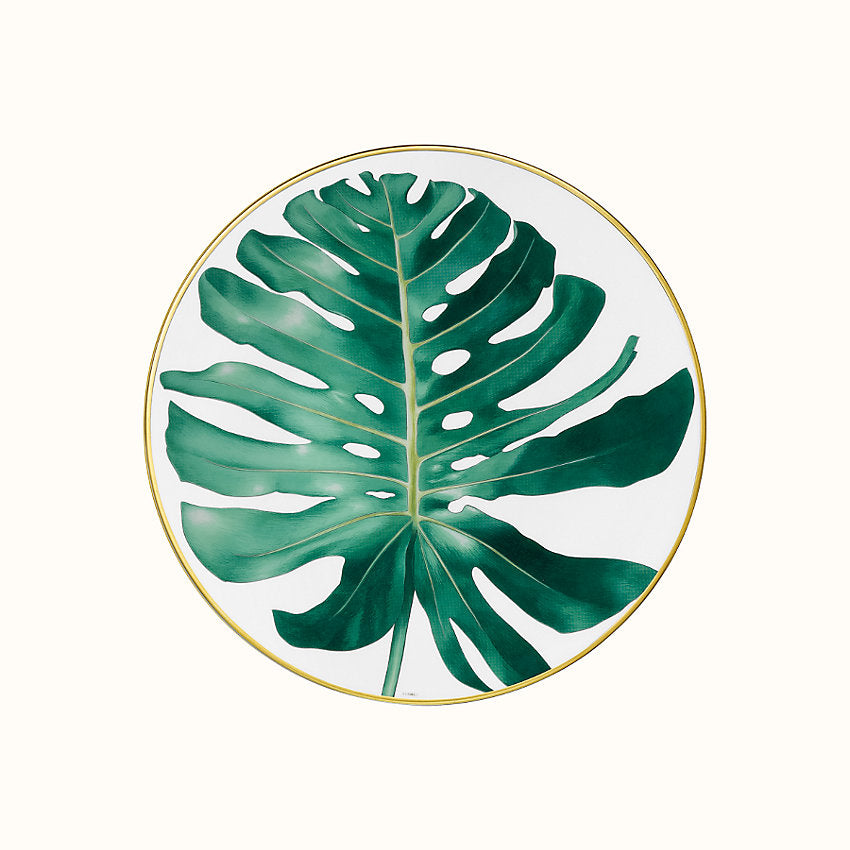Passifolia Philodendron Dinner Plate