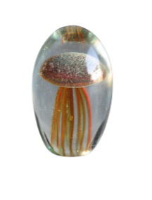 Glass Jellyfish Small Dark Brown